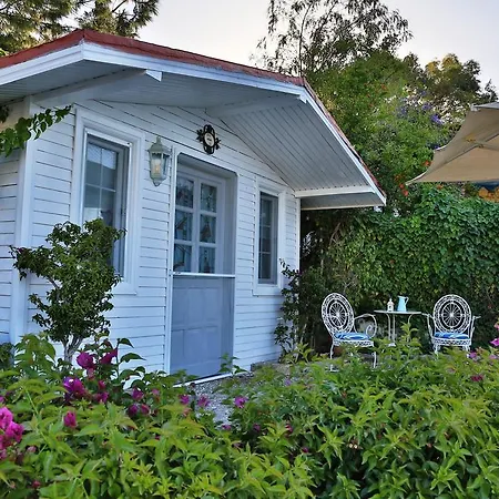 Maison d'hôtes Losta Sahil Evi - Adults Only +12