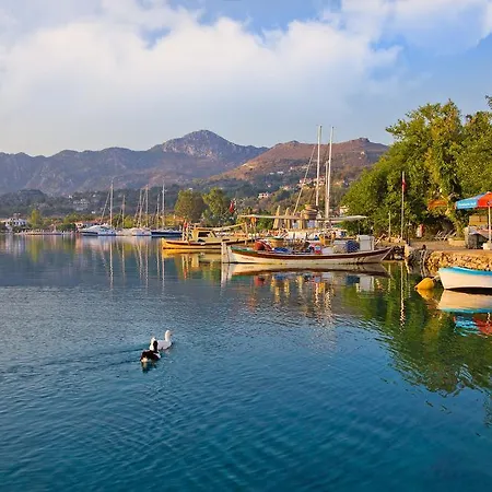 Losta Sahil Evi - Adults Only +12 Maison d'hôtes *