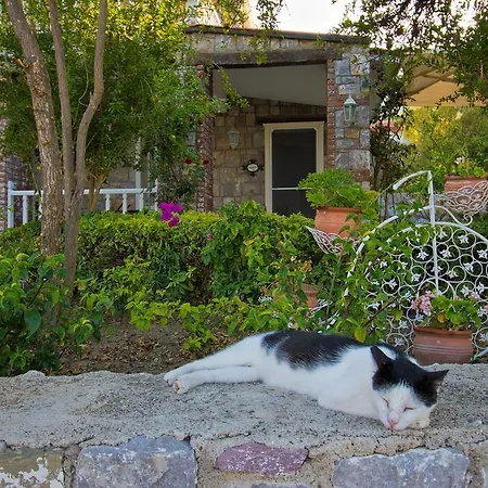 Losta Sahil Evi - Adults Only +12 Maison d'hôtes