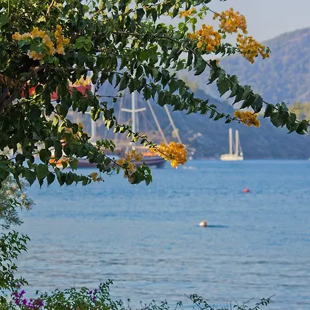 Losta Sahil Evi - Adults Only +12