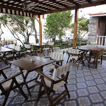 Πανσιόν Losta Sahil Evi - Adults Only +12 *