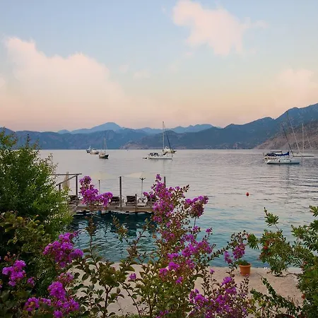 Gæstehus Losta Sahil Evi - Adults Only +12