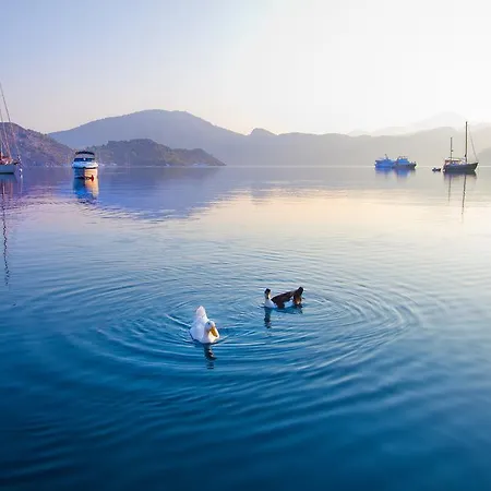 Losta Sahil Evi - Adults Only +12