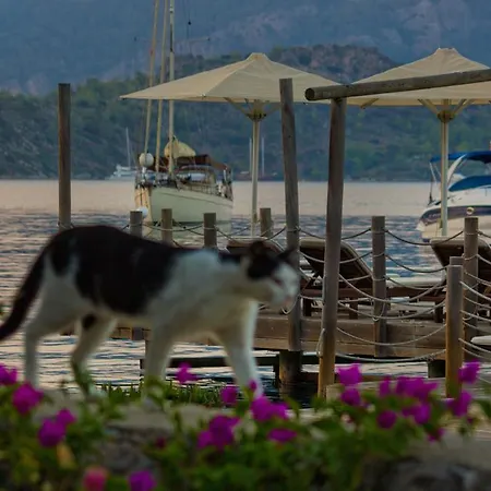 Losta Sahil Evi - Adults Only +12 Pensión *